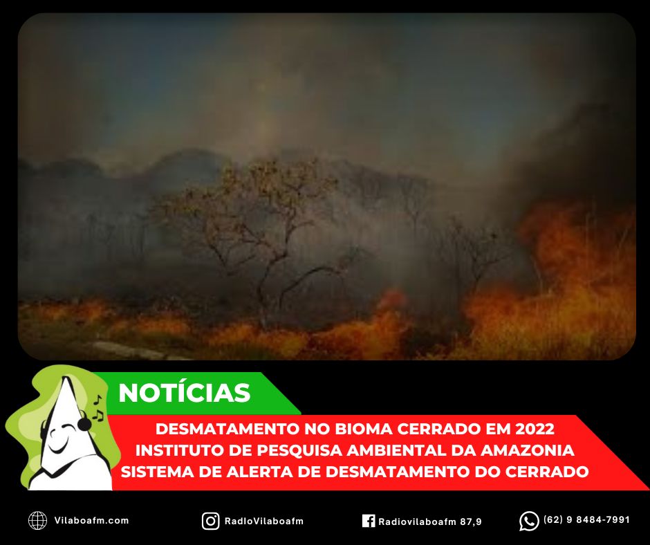 Desmatamento do Cerrado foi maior que o território de Brasília em 2022