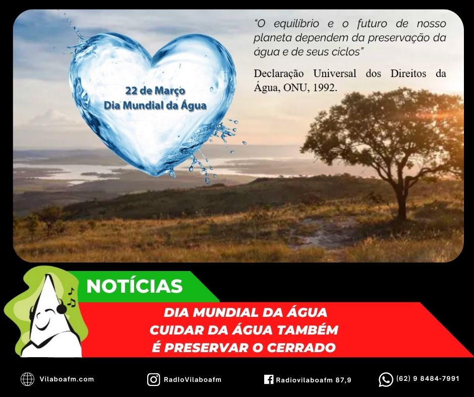 22 de março é Dia Mundial da Água: a preservação do Cerrado está diretamente ligada à nossa sobrevivência.