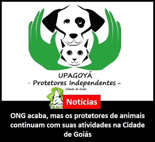 ONG acaba, mas os protetores de animais continuam com suas atividades na Cidade de Goiás