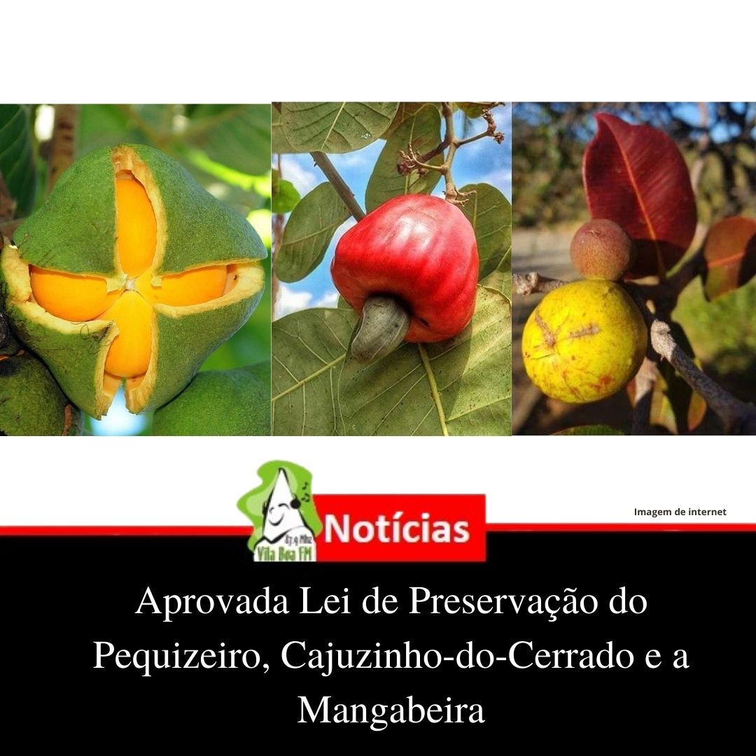 Aprovada Lei de Preservação do Pequizeiro, Cajuzinho-do-Cerrado e a Mangabeira.