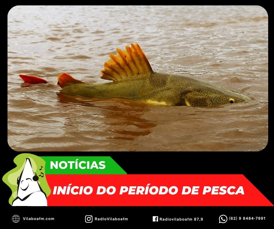 O período de pesca começou no primeiro dia de março