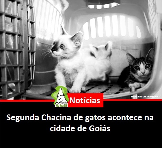 Segunda Chacina de gatos aconteceu na Cidade de Goiás