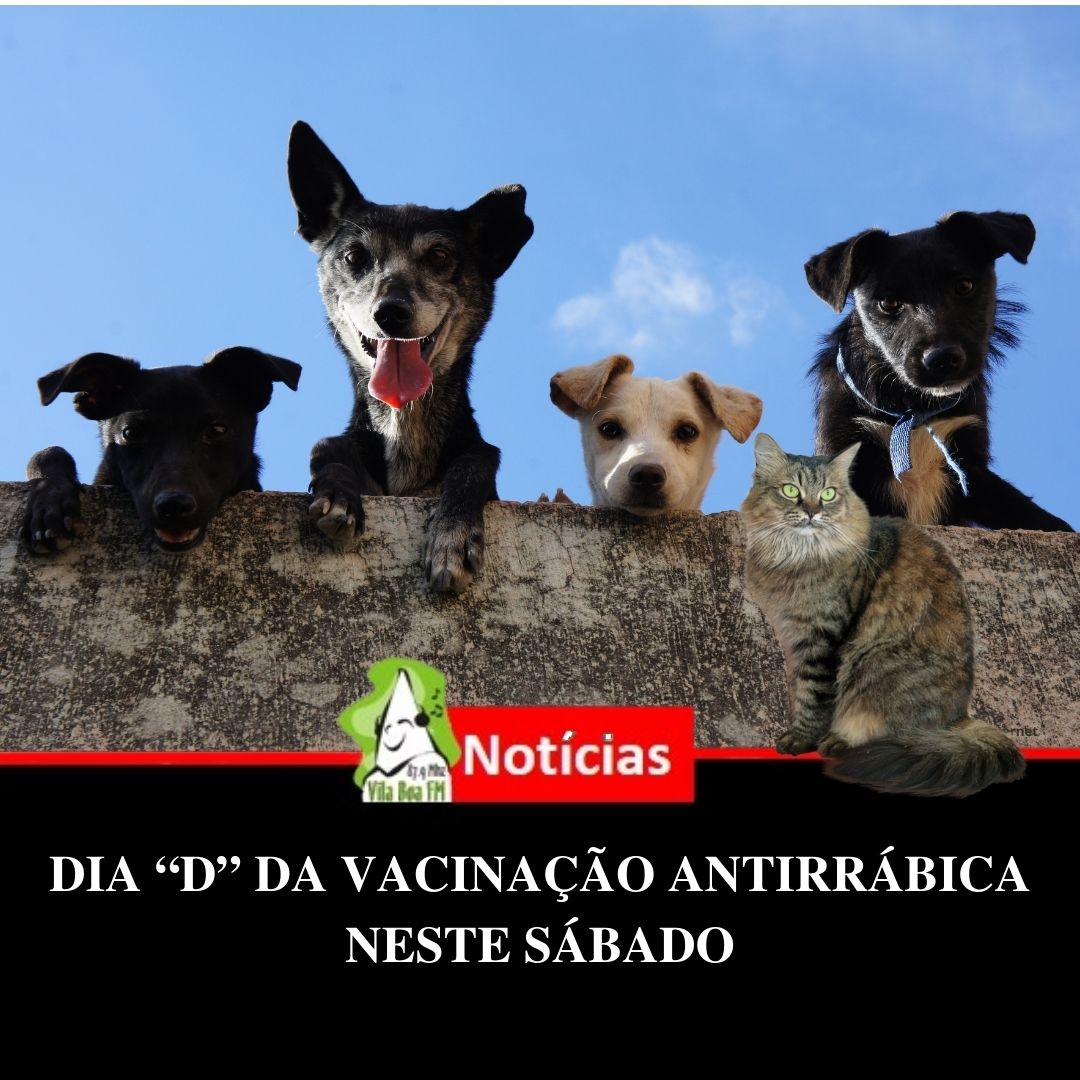 DIA “D” DA VACINAÇÃO ANTIRRÁBICA