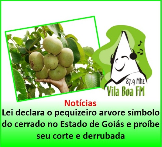Lei declara o pequizeiro arvore símbolo do cerrado no Estado de Goiás e proíbe seu corte e derrubada
