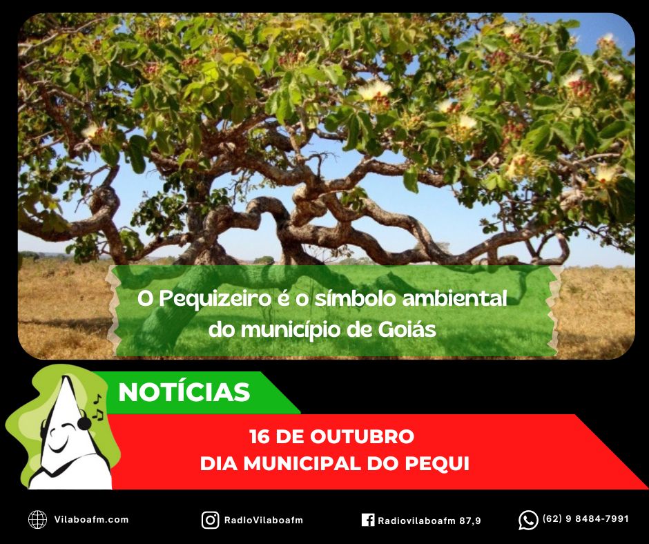 No último domingo, dia 16/10, foi comemorado o Dia Municipal do Pequi.